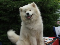 /album/bella-mia-jamamba/dscf4727-jpg/